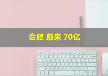 合肥 蔚来 70亿